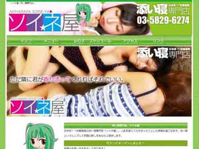 Soine-ya Prime là loại hình dịch vụ dành cho phụ nữ cô đơn ở Nhật Bản. Họ có thể thuê những anh chàng đẹp trai ngủ cùng giường nhưng hoàn toàn không bao gồm sex.